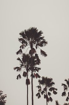 268953