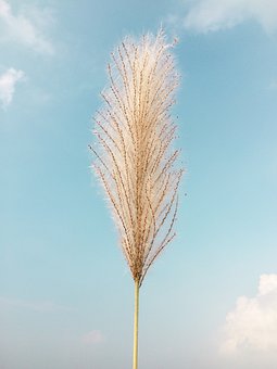 305884