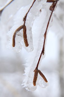 118020