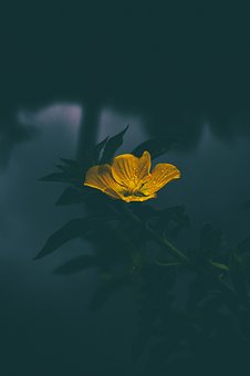 367424