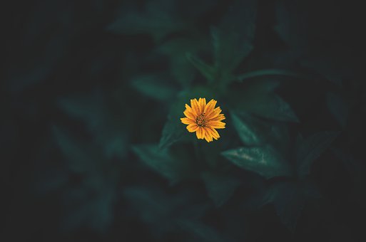 127071