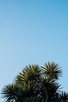 268050