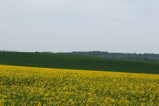 168462