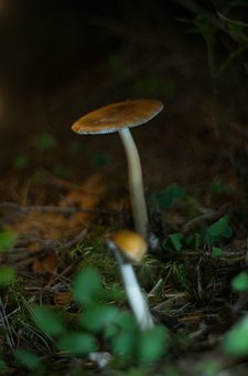 54283