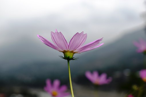 99273