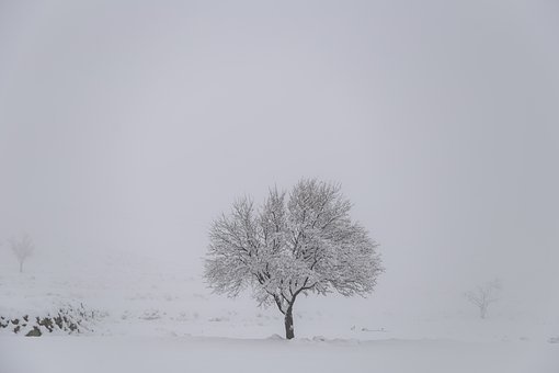 335048