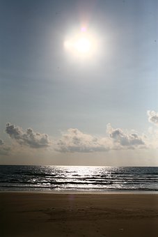 294553