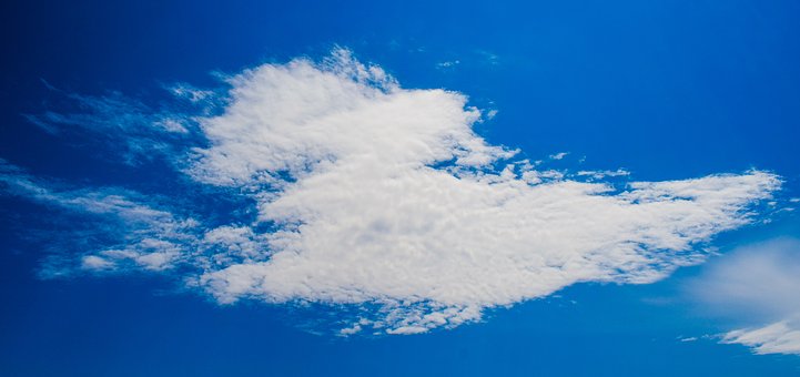 123244