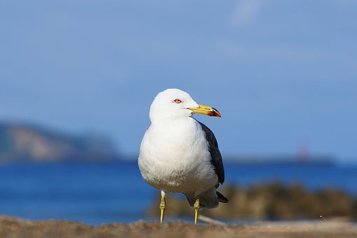 80870