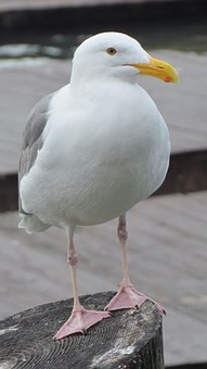 273140