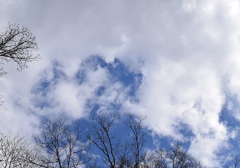 235119
