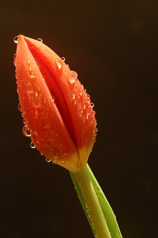 111296
