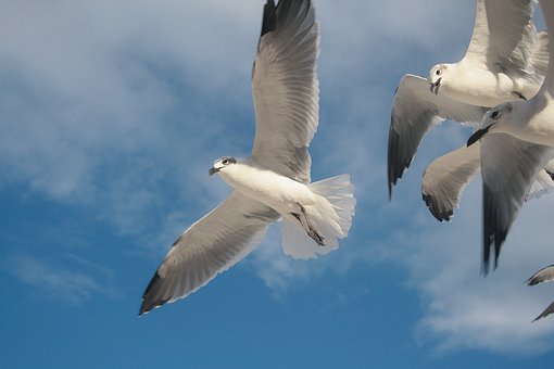 28643