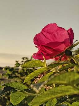 189783