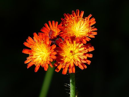 200557