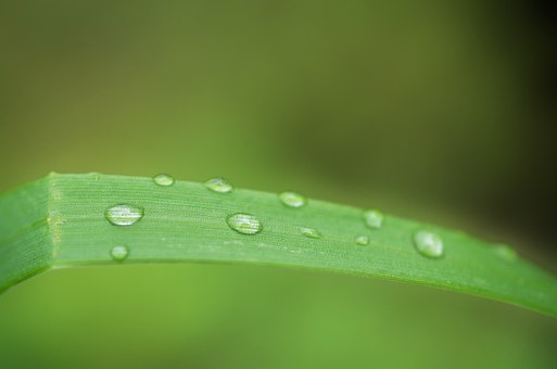 95207