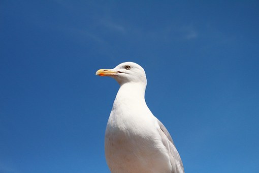 156069