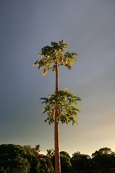 89499