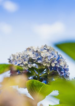 240363