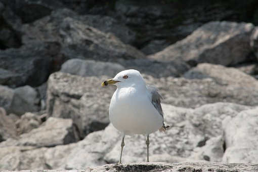 52847