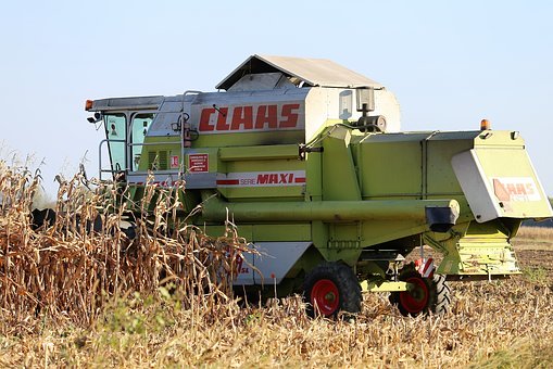 295770