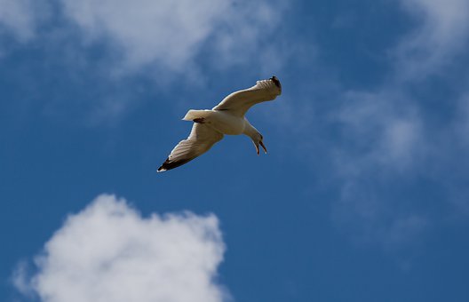 310893