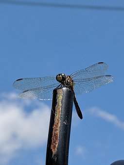 250938