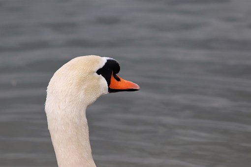 105206