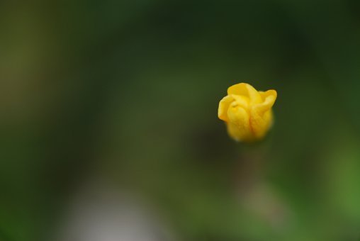 290382