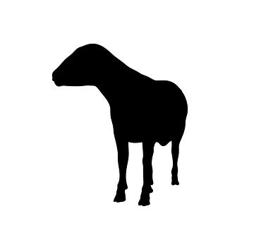 126687