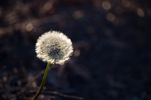 387834