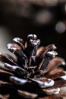 255993