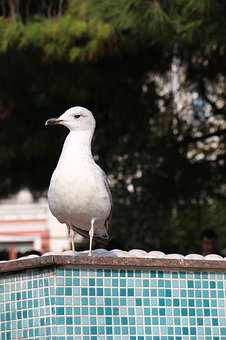 197065