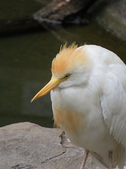 142432