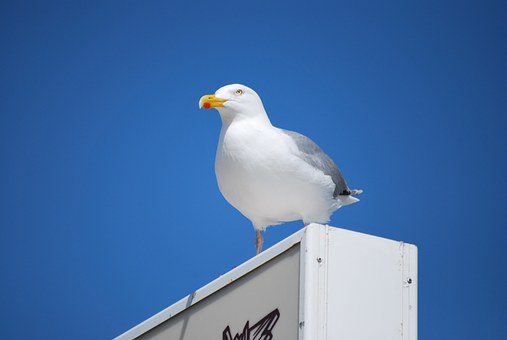 215615