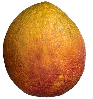 84871