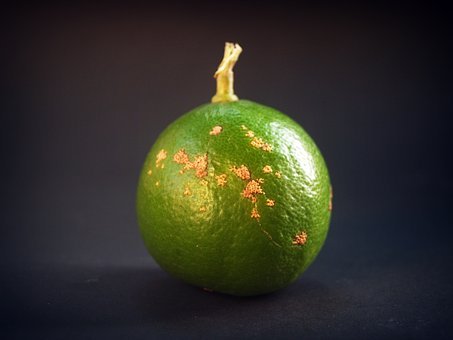 146538