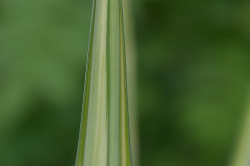 259132