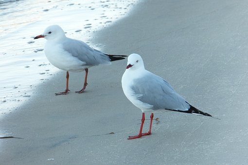 88320
