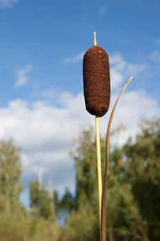 279985