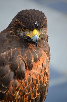 5899