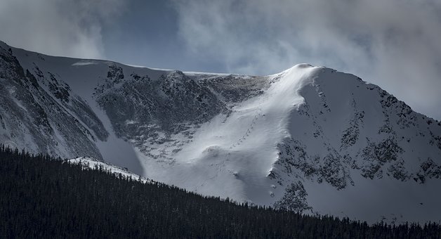 99358