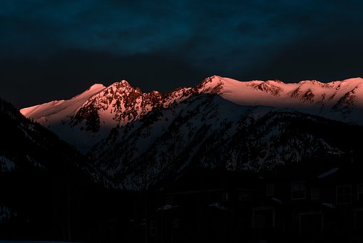 291020