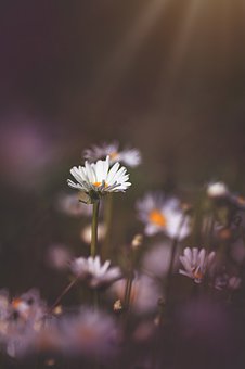 179084