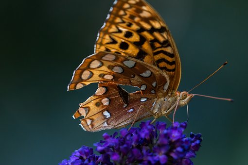 63311