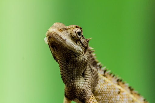 280164