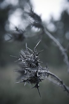 130603