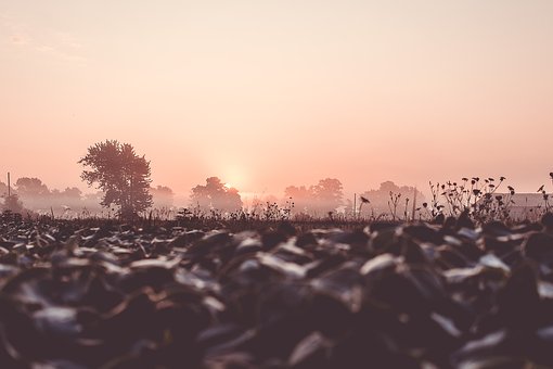 119184