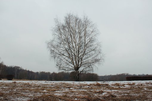 116731