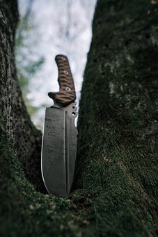 75066